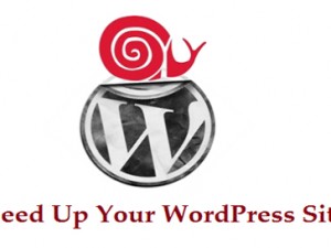 speed-up-wordpress