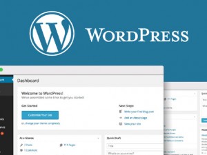 wordpress admin dashboard